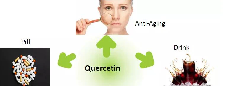 Quercetin Extract Powder Quercetin Extract Powder