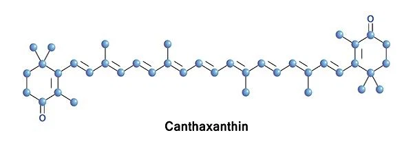 Canthaxanthin powder Canthaxanthin powder