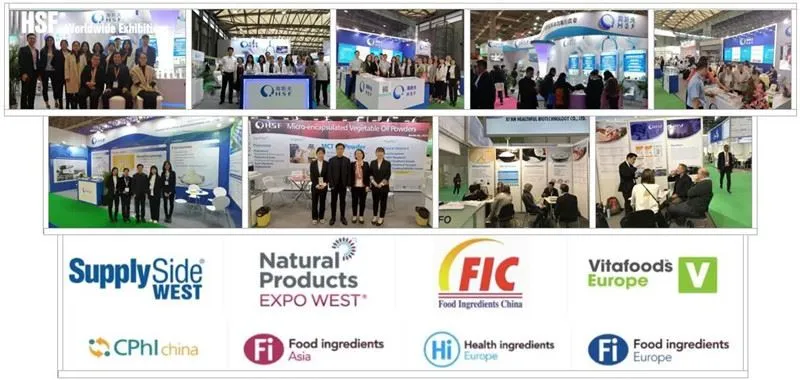 Worldwide Exhibitions