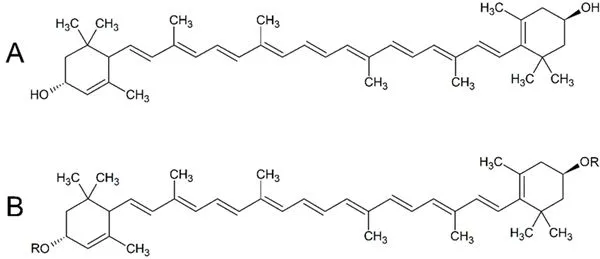 Lutein vs Lutein Esters