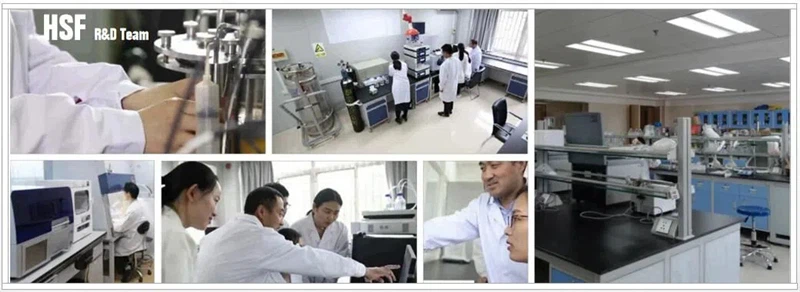 HSF Research and Development Team