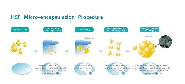 Manufacturing Process