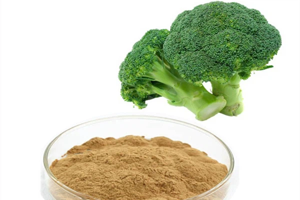 Broccoli Extract Powder Broccoli Extract Powder