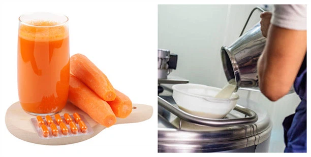 Application of Beta-carotene Application of Beta-carotene