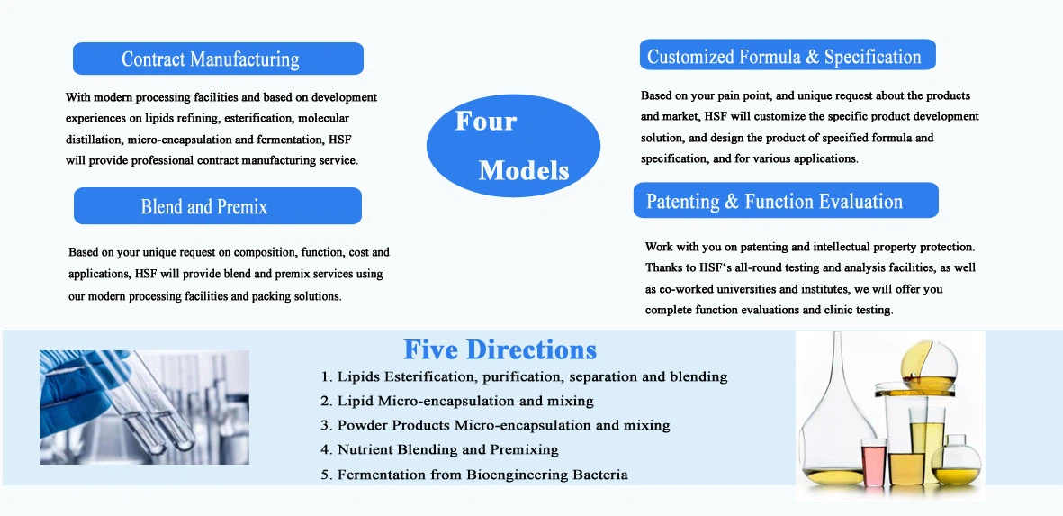 HSF DeePPD Service 02 HSF DeePPD Service 02