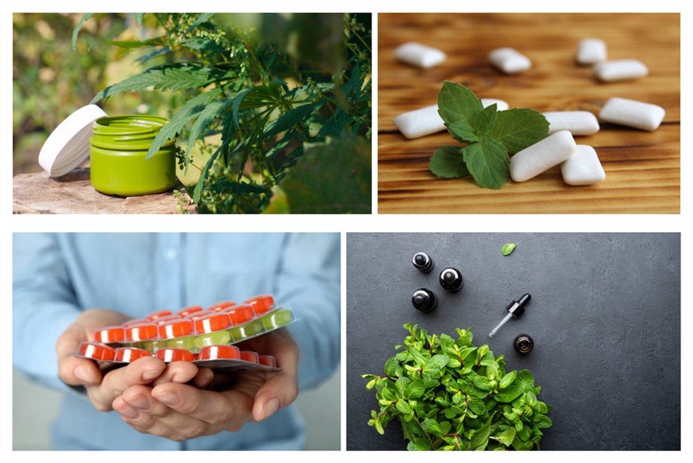 Applications of L-Menthol Applications of L-Menthol