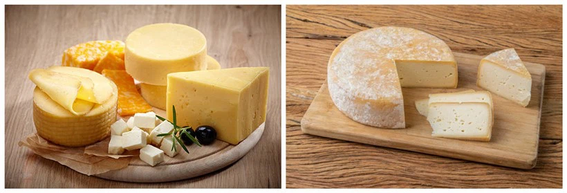 plant sterol esters food products plant sterol esters food products