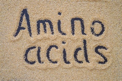 そもそもアミノ酸は何に使われるのでしょうか？