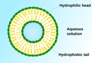 info-674-465 info-674-465