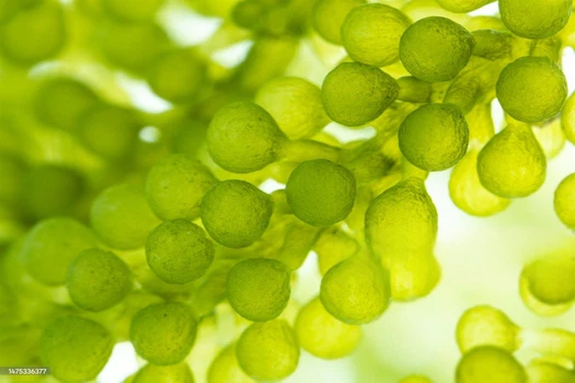 info-2048-1365 info-2048-1365