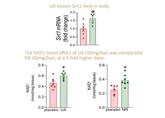 info-569-408 info-569-408