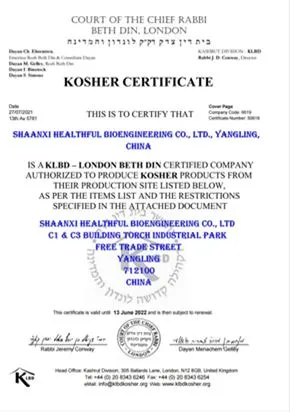 Instantized BCAA Powder 9:5:6